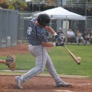 Dominic Borges mugshot