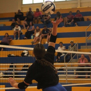 Alexi Walters mugshot