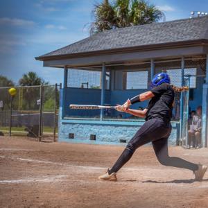 Lourdes Guzman mugshot