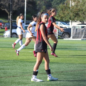 SADIE HENRIQUES