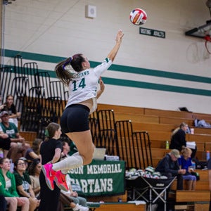 Hannah Mlsna mugshot