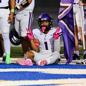 Amire Fleming mugshot