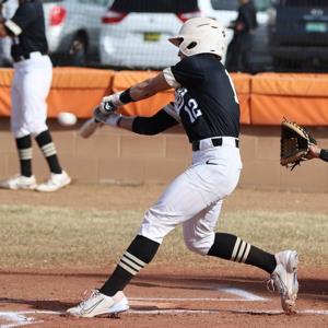 Adrian  Romero mugshot