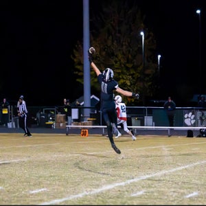 Tristin Borgholthaus mugshot