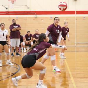 Liliana Hernandez mugshot