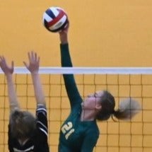 Juli Carlson mugshot