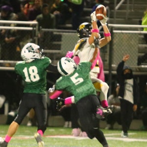 Ethan Alderson mugshot