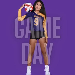 Pulelehua Laikona mugshot