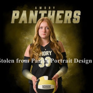 Bayley Jenkins mugshot