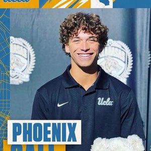 Phoenix  Call