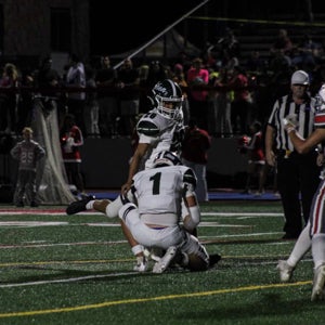 Michael Manoli mugshot