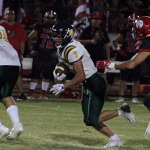 Januel Fernandez mugshot