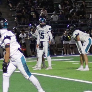 Ace Bachicha mugshot