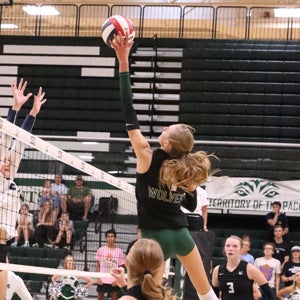 Holli Daniels mugshot