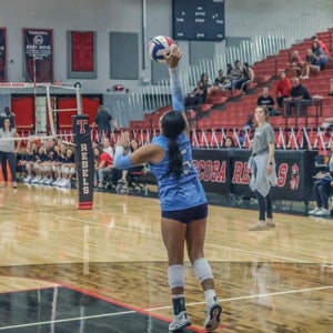 ZENAIDA MURILLO mugshot