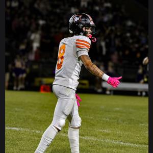 Cameron Schmitendorf mugshot