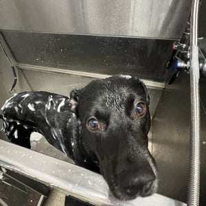 Fabían Rodríguez Cabrera