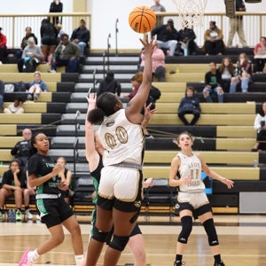 Malay L mitchell mugshot