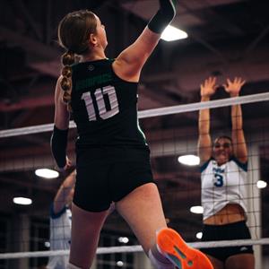 Annie Cronauer mugshot