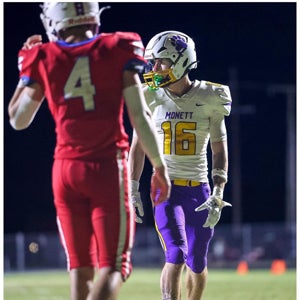 Landyn Brandt mugshot