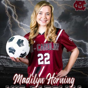 Madilyn Horning mugshot