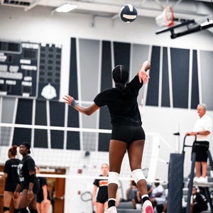 Ci'Ana Armelin mugshot