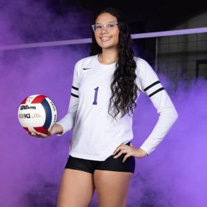 Dayleen Valdes mugshot