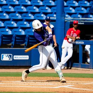 Luke Shelhamer mugshot
