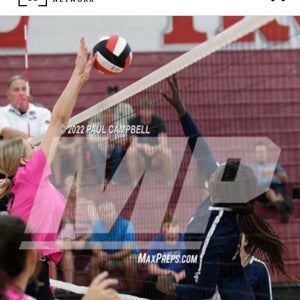 Ellie Vischer