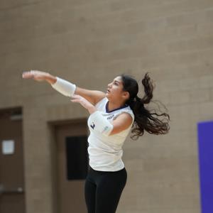 Fabiola Torres mugshot