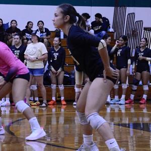 Alison Lewis mugshot