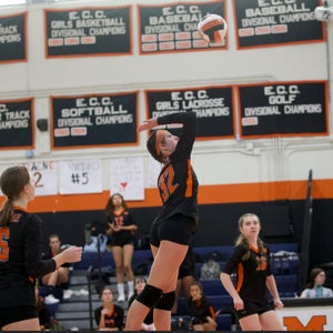 Elizabeth Maffeo mugshot