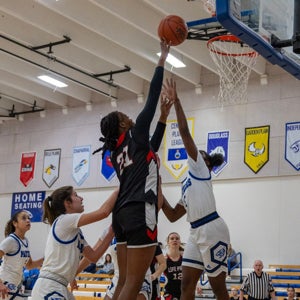 Deena  Holmes mugshot