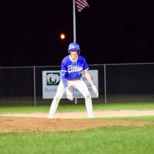 HAYDEN PERKINS