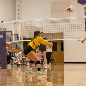 Melanie Hermes mugshot