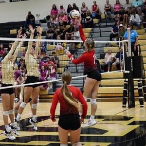 Kailyn  Polzin mugshot