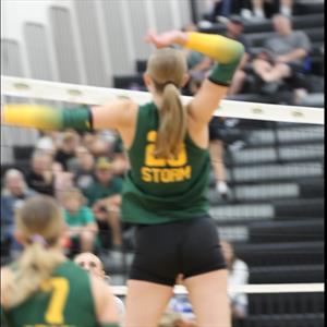 Wendi Peterson mugshot