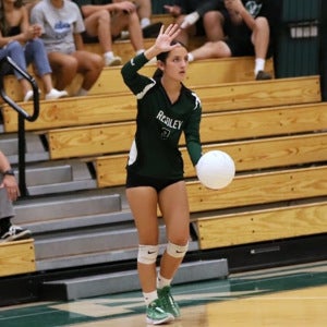 Jocelyn Rodriguez mugshot