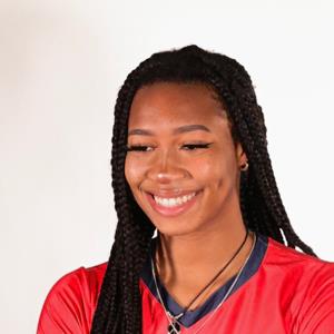 India Gantt