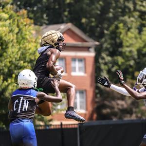 Kadine McAlister mugshot