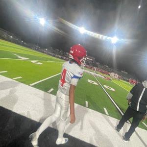 Luis manuel Vergara mugshot