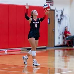 Adison Harmel mugshot