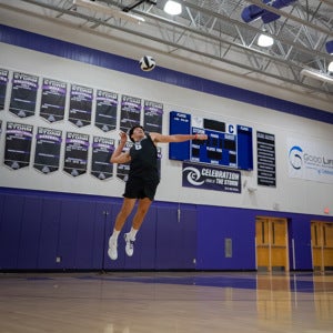 Alexander Berdeccia mugshot