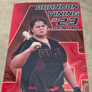 Brandon Vining mugshot