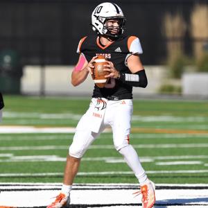 Peter Costantino mugshot