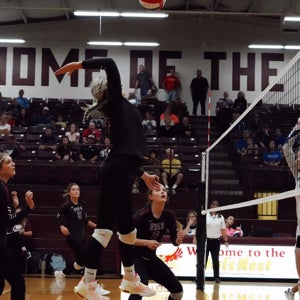 Allison Czachowski  mugshot