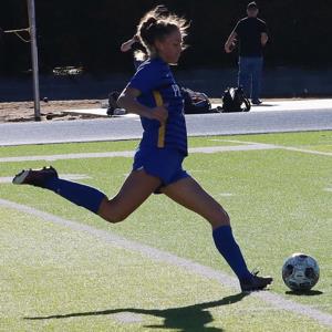 Brinkley Larson