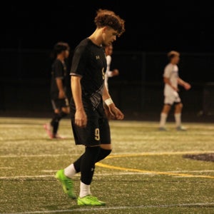 Gavin Vantichelt