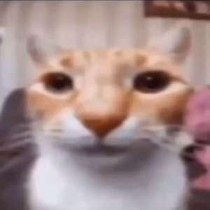 Christopher Ordonez mugshot