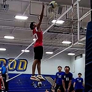 Alejandro Rodriguez mugshot